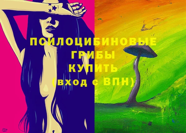 ECSTASY Алексеевка
