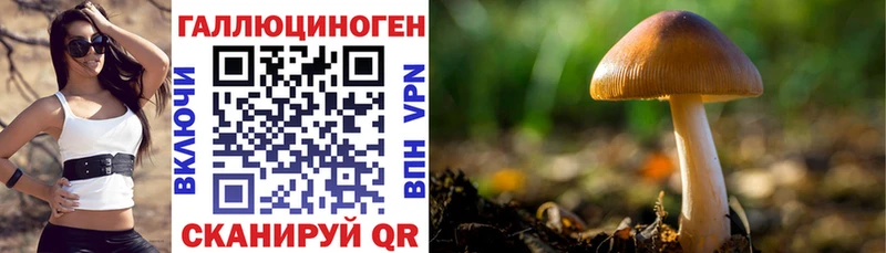Галлюциногенные грибы мицелий  darknet клад  Лихославль 